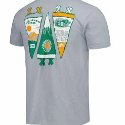 Image One Men's Gray Colorado State Rams Pennant Comfort Color T-Shirt -Pro Standard Shop DSCO1154795418 1927 ALT3