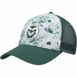 Colosseum Men's Gray/Green Colorado State Rams Love Fern Snapback Hat